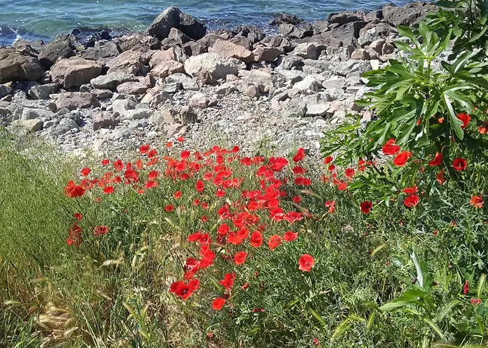 Apartament Nessebar, Studio,south Beach, Larisa